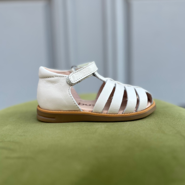 Pola Blanc - ACEBOS