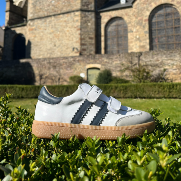 Rumba VL Blanc - ACEBOS