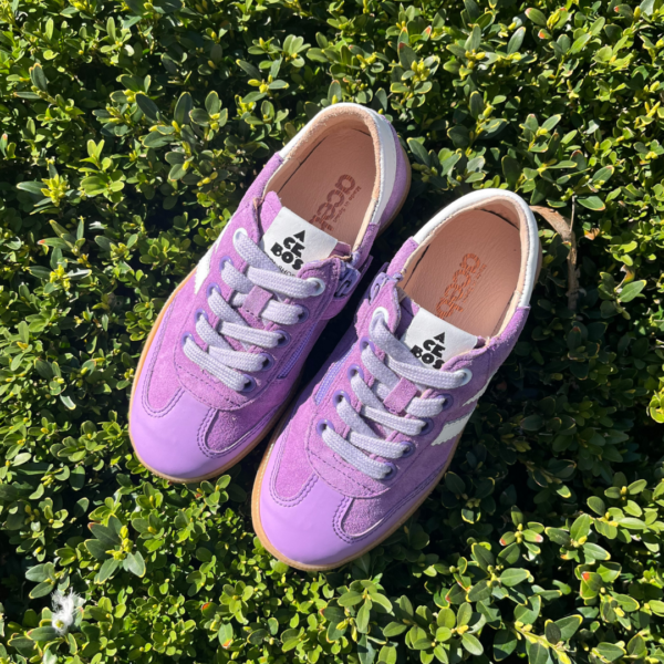 Rumba Lilas - ACEBOS