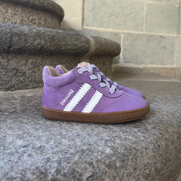 Samba Lilas - ACEBOS